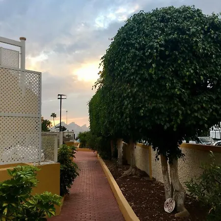 Apartment Orlando Tenerife *